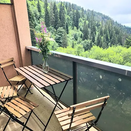 Le Vernon N 406 - St5 Lägenhet Chamrousse