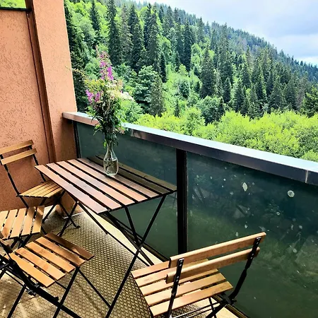 Le Vernon N 406 - St5 Chamrousse
